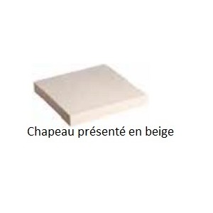 CHAPEAU 40X40 SAS PLAT ANTHRACITE