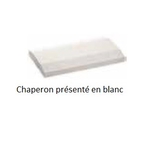 CHAPERON MUR PLATINE SAS 25X50 GRIS