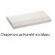 CHAPERON MUR PLATINE SAS 25X50 GRIS