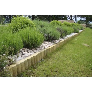 BORDURETTE FAB.OVALINE PAILLE 6/24/50