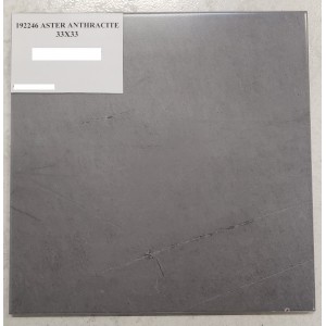ASTER ANTHRACITE