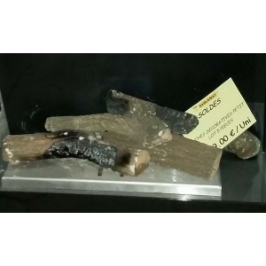 BUCHES DECORATIVES PETIT LOT 5 PIECES